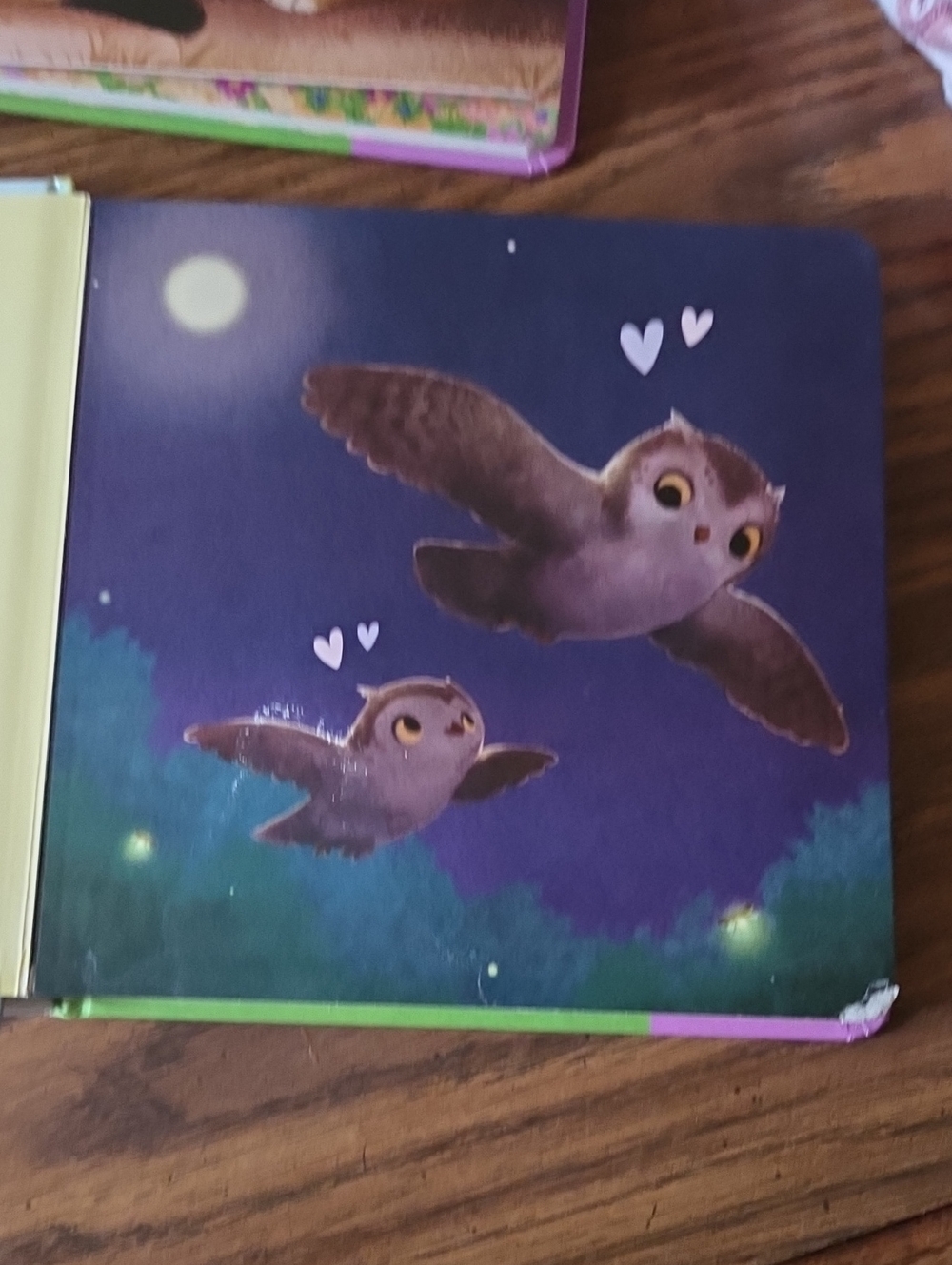 Love You Like No Otter Book